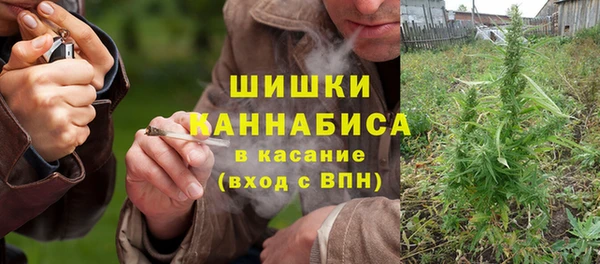 прущие грибы Красноперекопск