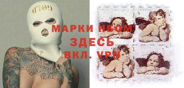 прущие грибы Красноперекопск