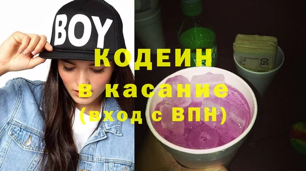 прущие грибы Красноперекопск