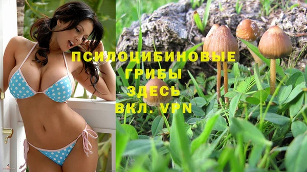 мет Краснослободск