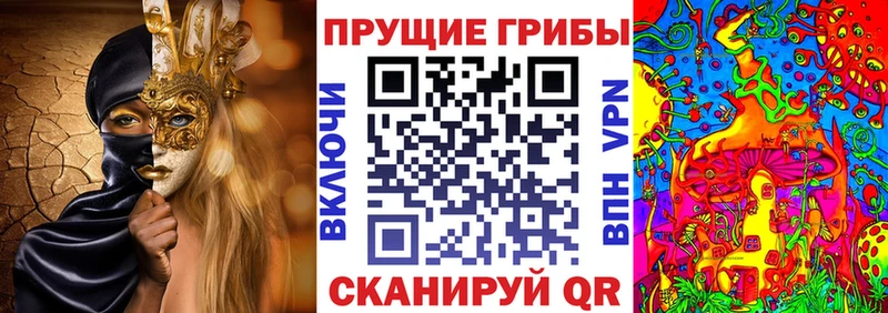 гидра сайт  Ставрополь  Псилоцибиновые грибы GOLDEN TEACHER 