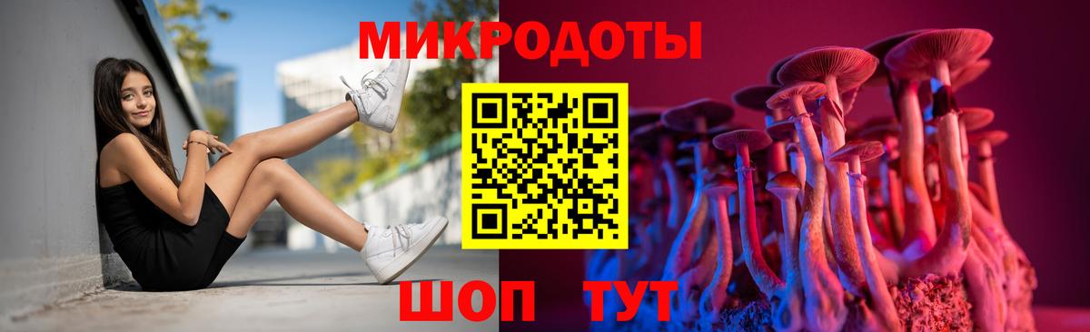 Псилоцибиновые грибы Cubensis Ставрополь
